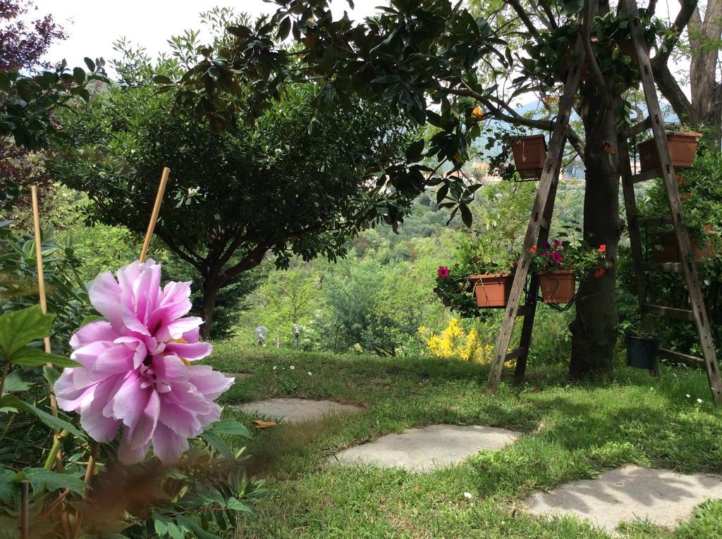 L'Acacia B&B Pietra Ligure Eksteriør billede